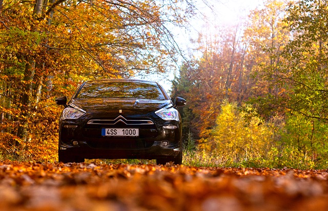 Getriebe Citroen getriebe citroen